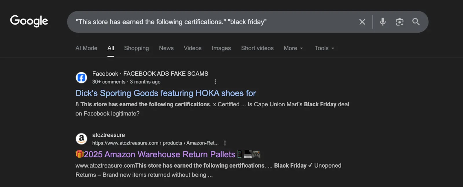 Fake storefront (Source - CloudSEK)